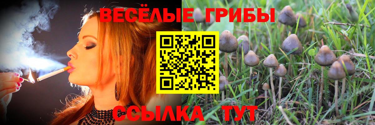Псилоцибиновые грибы Magic Shrooms  Вход с VPN  Котовск 